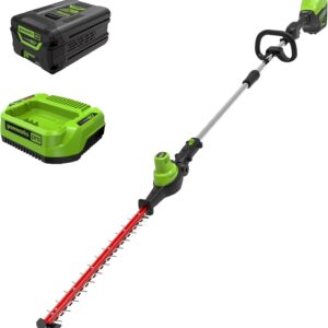 Greenworks 60V 20" Brushless Cordless Battery Powered Pole Hedge Trimmer, 2.0Ah Battery and Charger Included