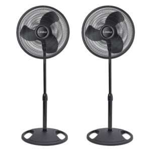 Lasko 16" Oscillating 3 Speed Adjustable Pedestal Stand Fan, Black (2 Pack)